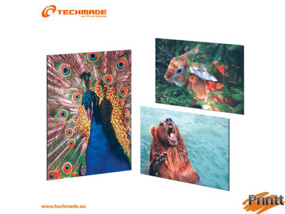 Immagine di TECHMADE PICTURE MOUSEPA D CON FOTO ANTISCIVOLO